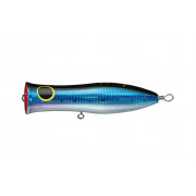 SMITH POPPER Acup 145 Color - 01