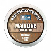 Asso_Mainline-Abrasion_4.jpg